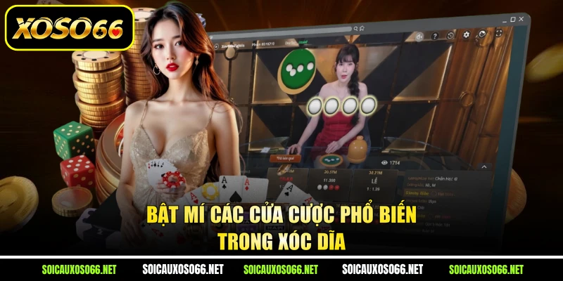 Bật mí các cửa cược phổ biến trong Xóc Dĩa