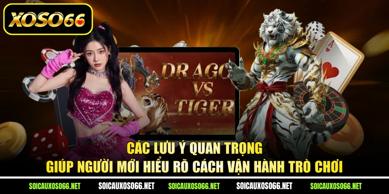 Các lưu ý quan trọng giúp người mới hiểu rõ cách vận hành trò chơi