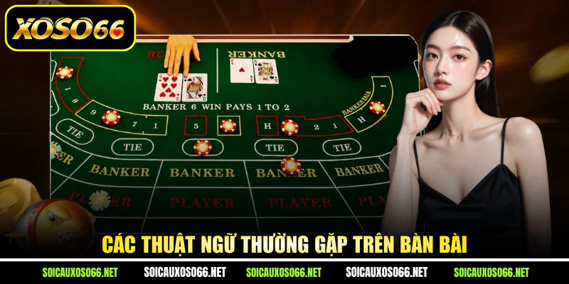 Các thuật ngữ thường gặp trên bàn bài