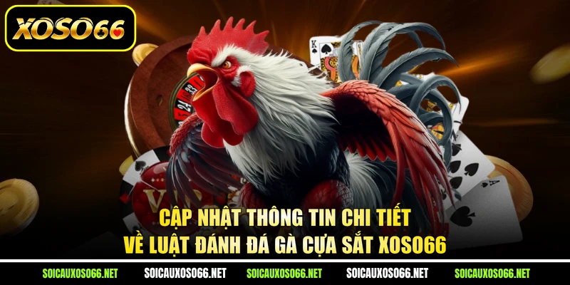 Cập nhật thông tin chi tiết về luật đánh đá gà cựa sắt XoSo66