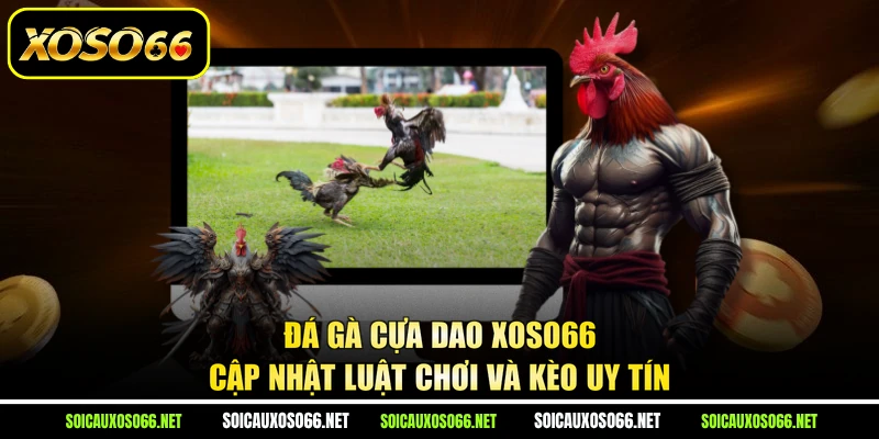 Đá Gà Cựa Dao XoSo66 - Cập Nhật Luật Chơi Và Kèo Uy Tín