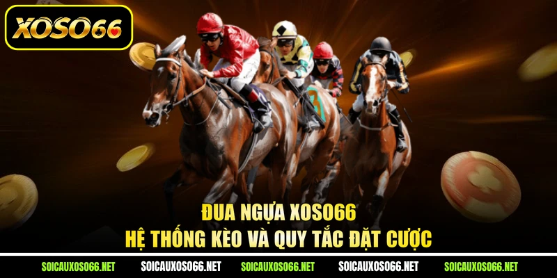 Đua Ngựa XoSo66 - Hệ Thống Kèo Và Quy Tắc Đặt Cược