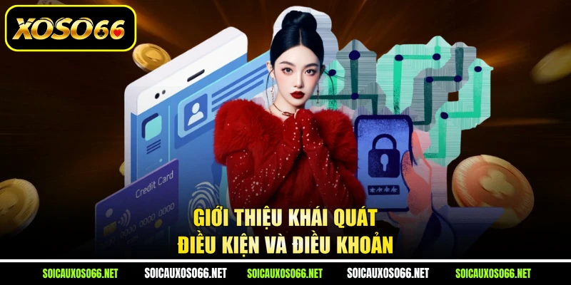 Giới thiệu khái quát điều kiện và điều khoản