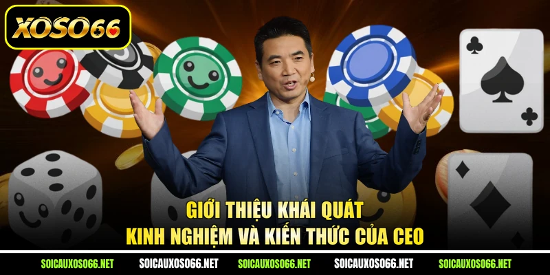 Giới thiệu khái quát kinh nghiệm và kiến thức của CEO