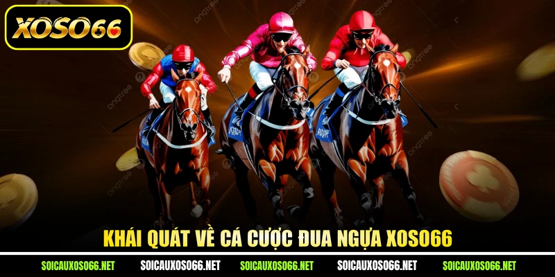 Khái quát về cá cược đua ngựa XoSo66