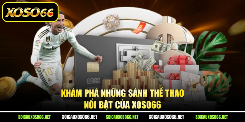 Khám phá những sảnh thể thao nổi bật của XoSo66