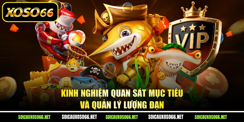 Kinh nghiệm quan sát mục tiêu và quản lý lượng đạn