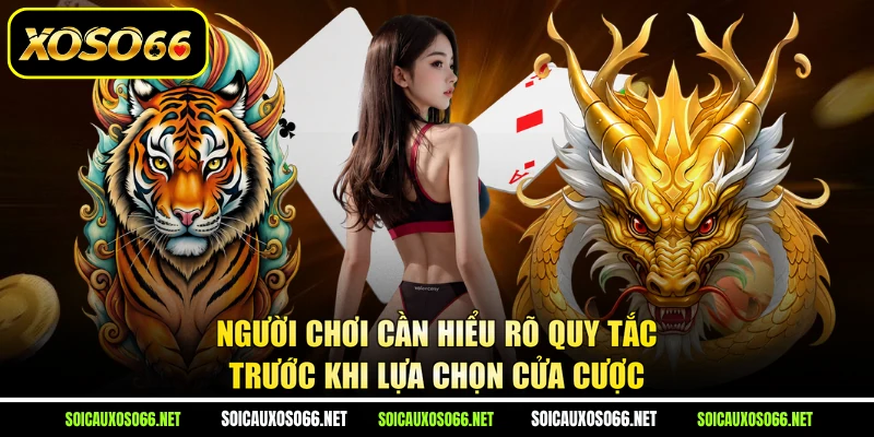 Người chơi cần hiểu rõ quy tắc trước khi lựa chọn cửa cược