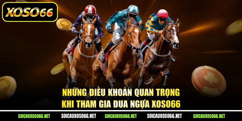 Những điều khoản quan trọng khi tham gia đua ngựa XoSo66