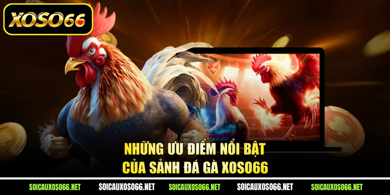 Những ưu điểm nổi bật của sảnh đá gà XoSo66