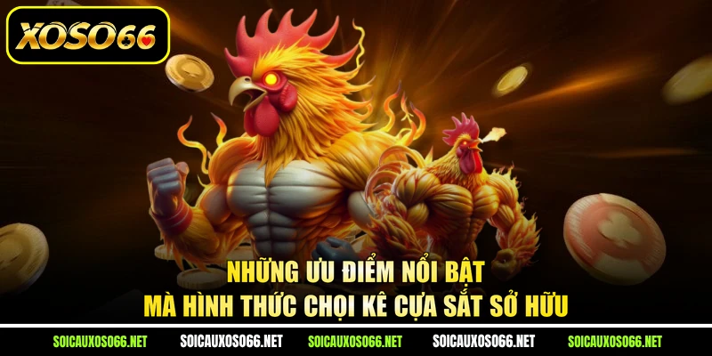 Những ưu điểm nổi bật mà hình thức chọi kê cựa sắt sở hữu