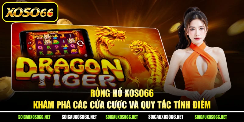 Rồng Hổ XoSo66 - Khám Phá Các Cửa Cược Và Quy Tắc Tính Điểm
