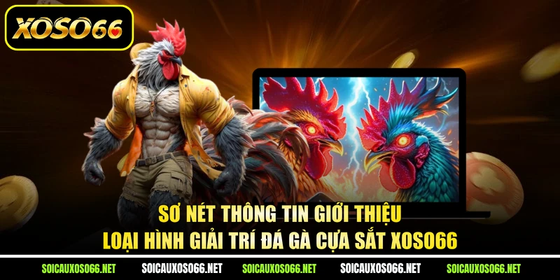 Sơ nét thông tin giới thiệu loại hình giải trí đá gà cựa sắt XoSo66