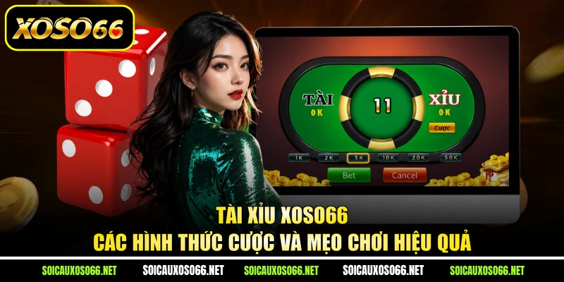 Tài Xỉu XoSo66 - Các Hình Thức Cược Và Mẹo Chơi Hiệu Quả