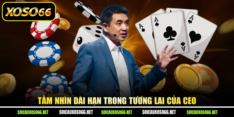 Tầm nhìn dài hạn trong tương lai của CEO