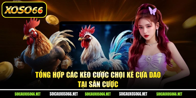 Tổng hợp các kèo cược chọi kê cựa dao tại sân cược