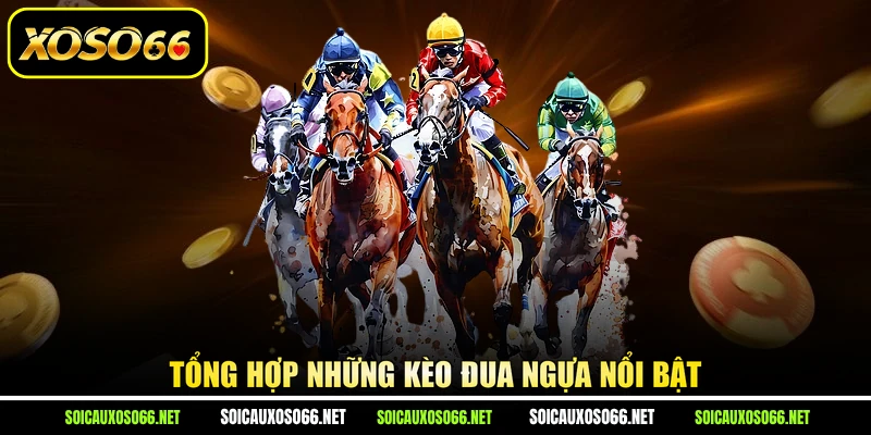 Tổng hợp những kèo đua ngựa nổi bật