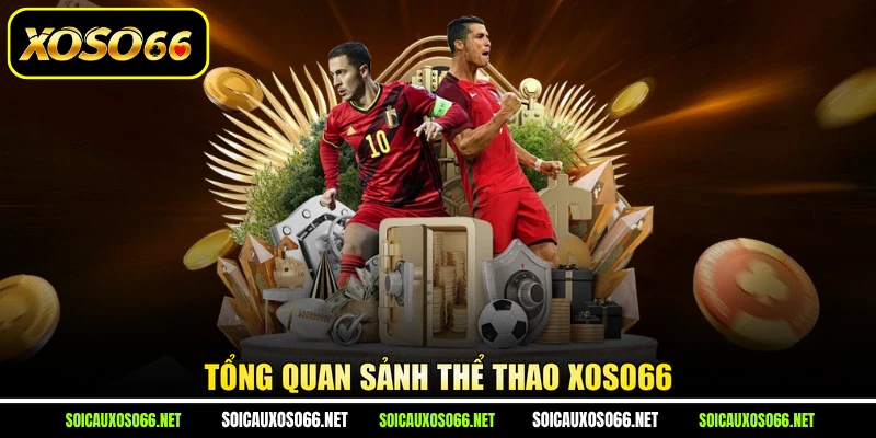 Tổng quan sảnh thể thao XoSo66