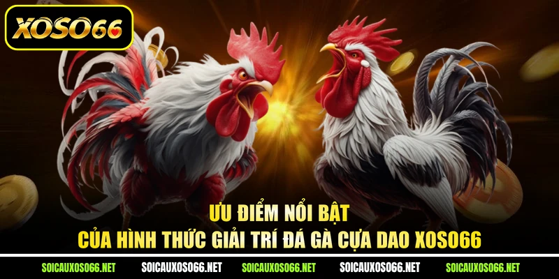 Ưu điểm nổi bật của hình thức giải trí đá gà cựa dao XoSo66